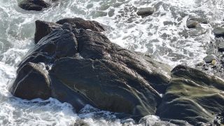 2024-01-Paseo_Costa_Canaria-San_Agustin-Ingles-083.jpg